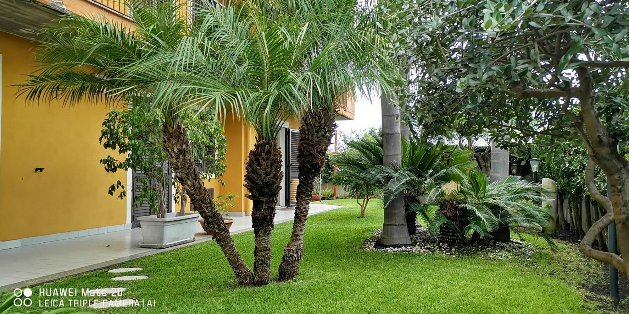 Maresole Tra L'Etna E Taormina Apartamento Mascali Exterior foto