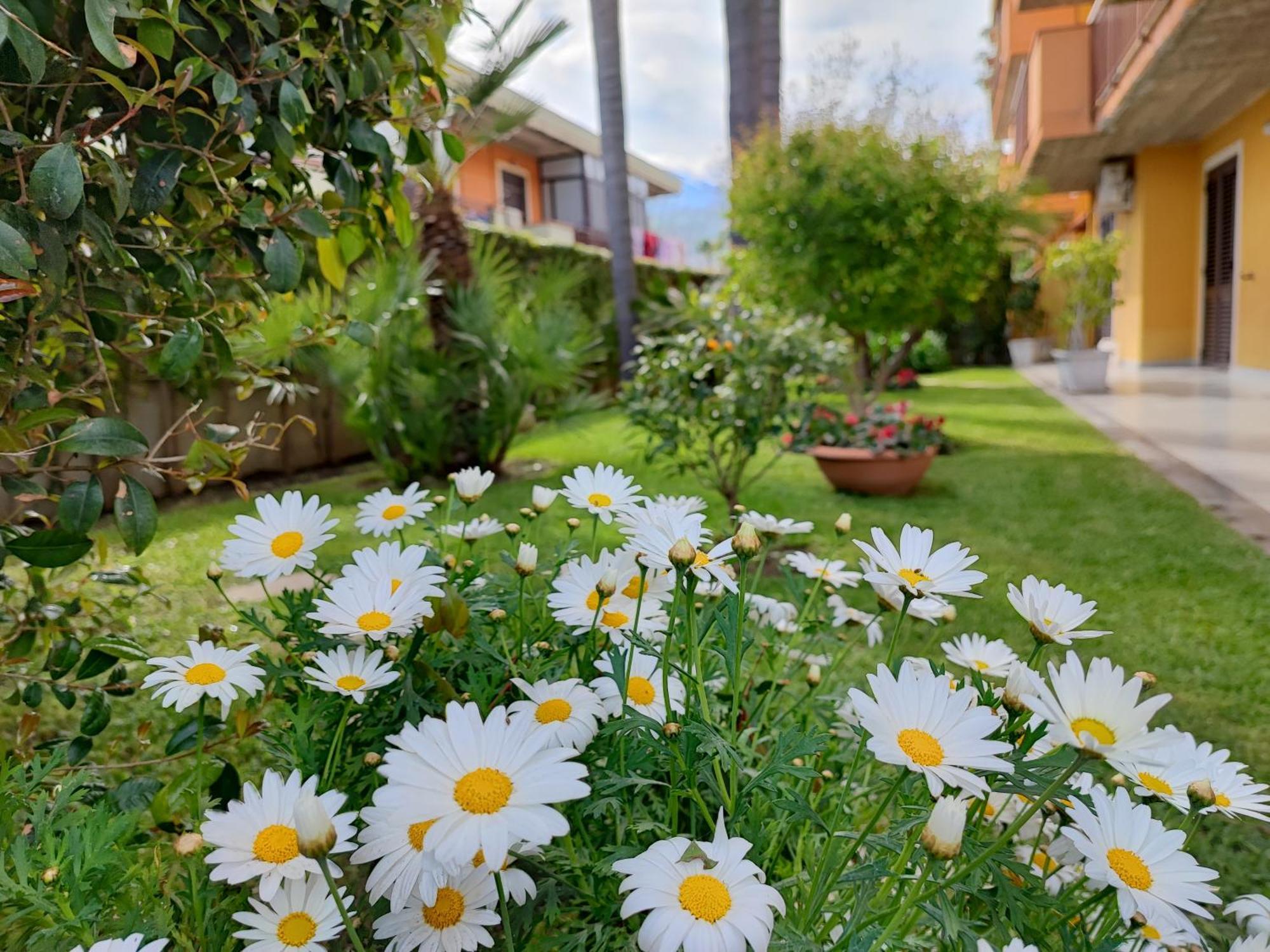 Maresole Tra L'Etna E Taormina Apartamento Mascali Exterior foto