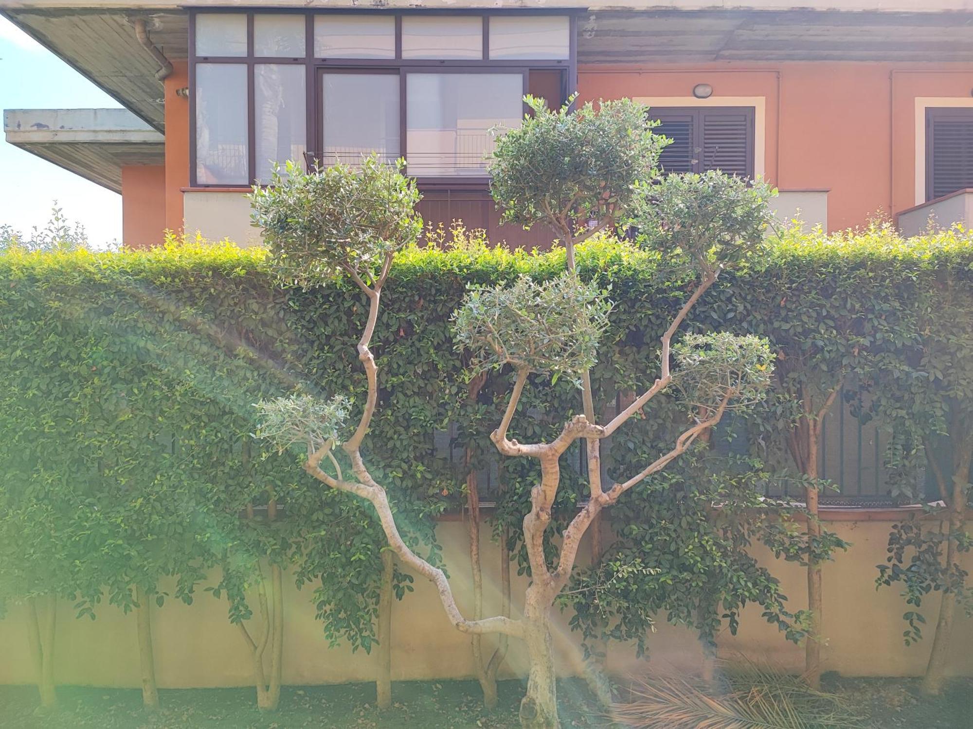 Maresole Tra L'Etna E Taormina Apartamento Mascali Exterior foto