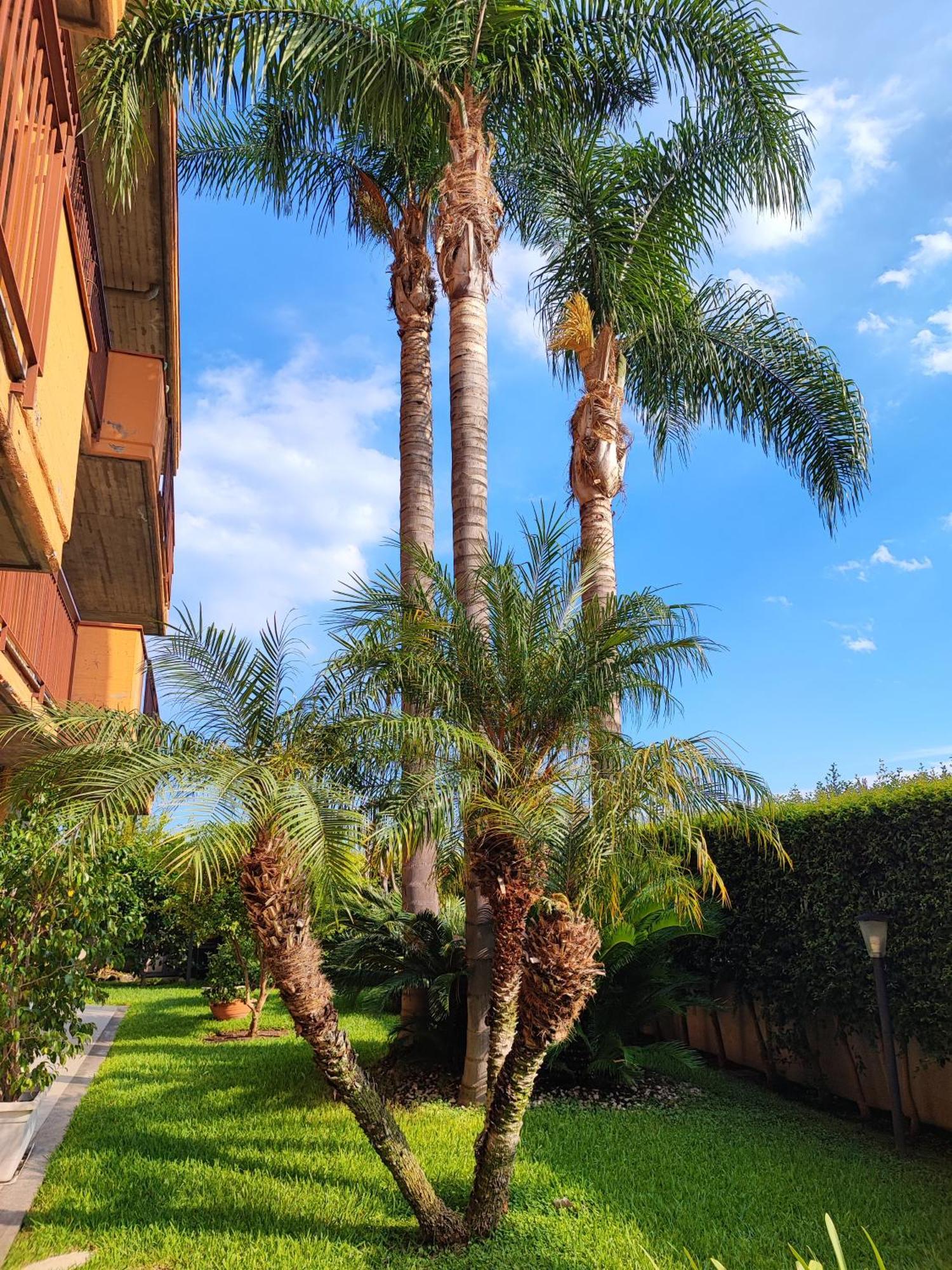 Maresole Tra L'Etna E Taormina Apartamento Mascali Exterior foto