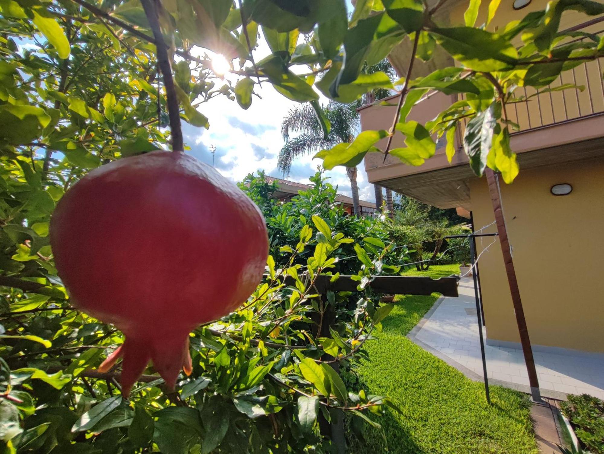 Maresole Tra L'Etna E Taormina Apartamento Mascali Exterior foto